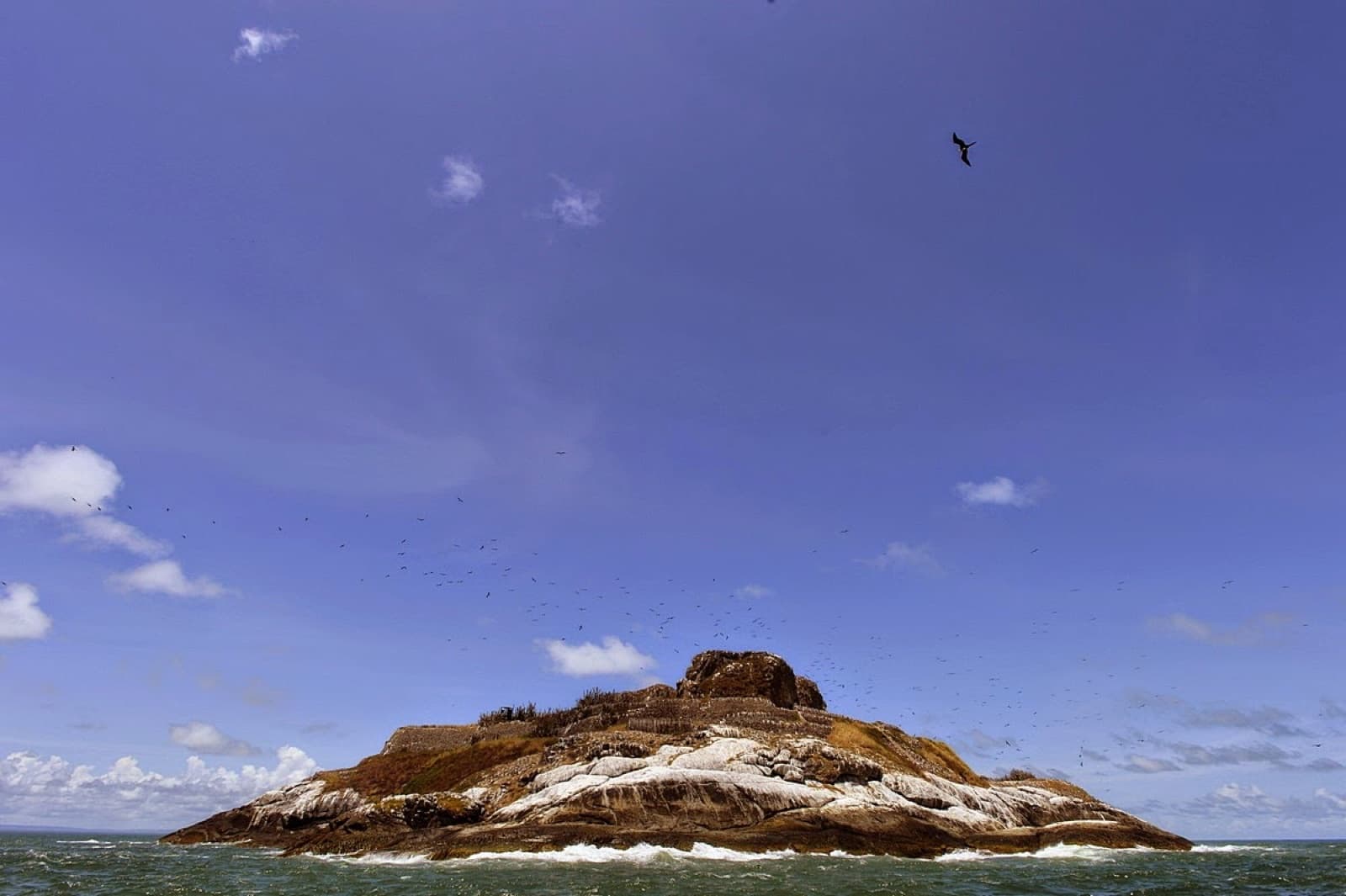 L'îlot du Grand Connétable et sa colonie d'oiseaux marins